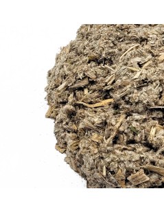 Artichoke Herbal Tea (Cynara scolymus)