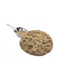 Artichoke Herbal Tea (Cynara scolymus)