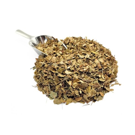 Bluberry Leaf Herbal Tea (Vaccinium Myrtillus)