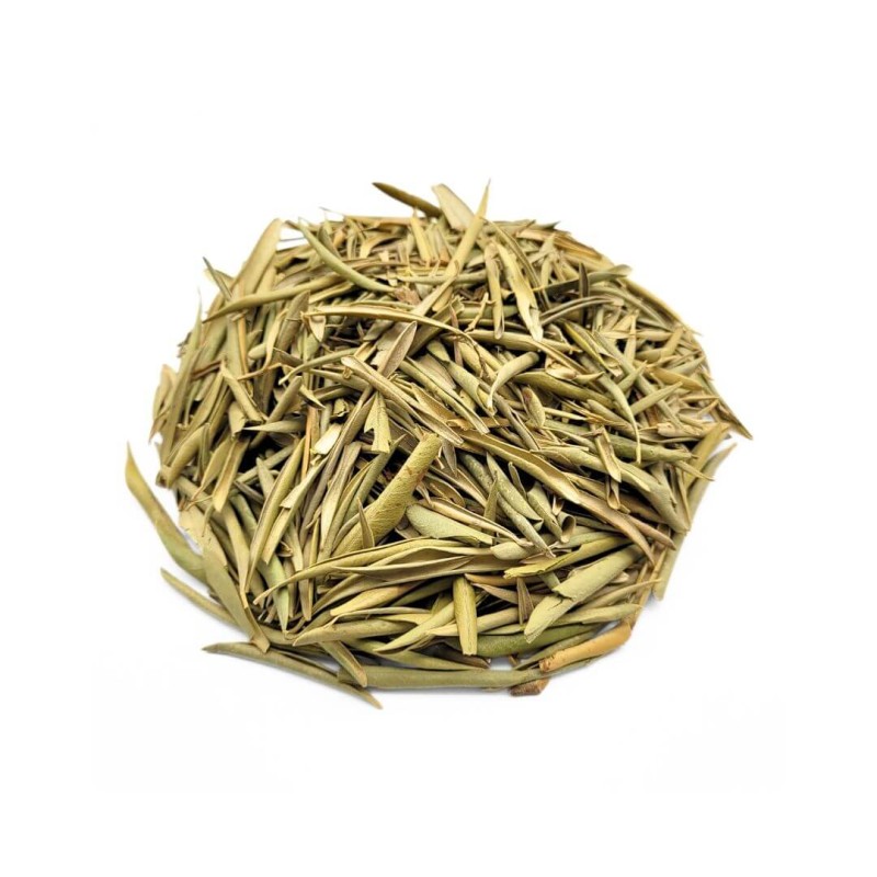 Olive Leaf Herbal Tea (Olea europaea)