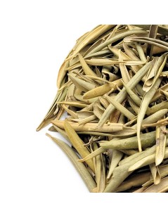 D'Olivier feuilles (Olea europaea)