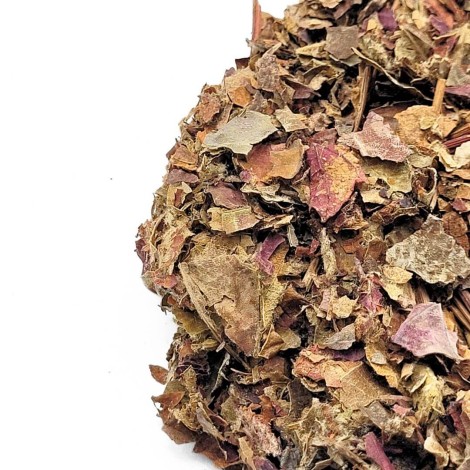 Vite Rossa, Foglie (Vitis Vinifera)