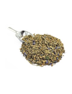 Tè di Malva foglie (Malva Sylvestris) per mal di gola, catarro e voce