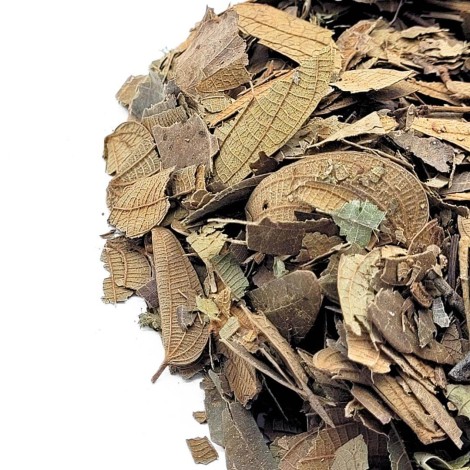 Pata de Vaca, Folhas (Bauhinia forficata)