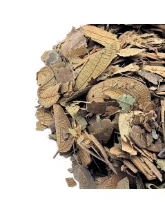 Pata de Vaca, Folhas (Bauhinia forficata)