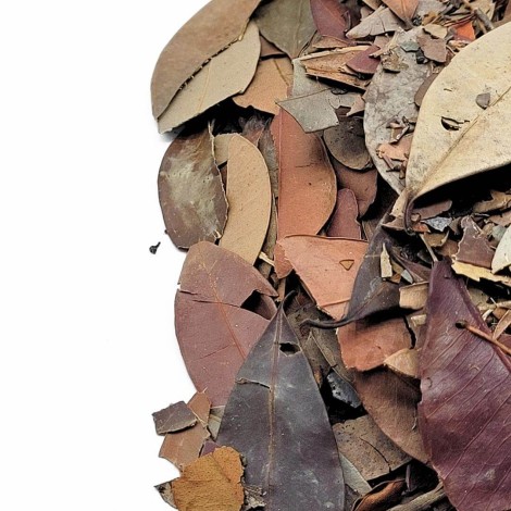 Thé d'Insuline Végétale Feuilles