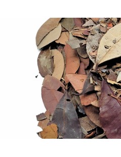 Thé d'Insuline Végétale Feuilles