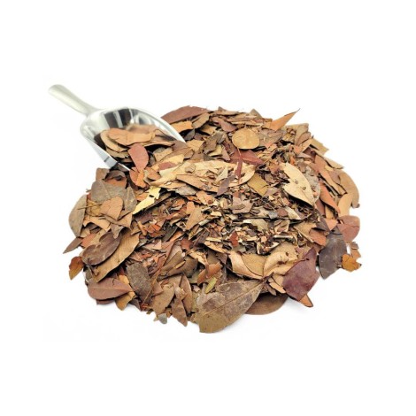 Chá de Insulina Vegetal