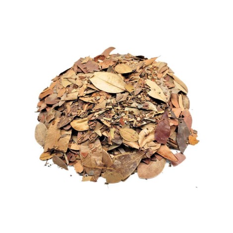 Thé d'Insuline Végétale Feuilles