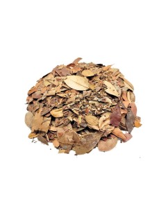 Thé d'Insuline Végétale Feuilles