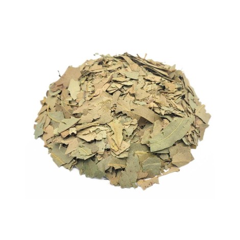 Tè di Eucalipto foglie