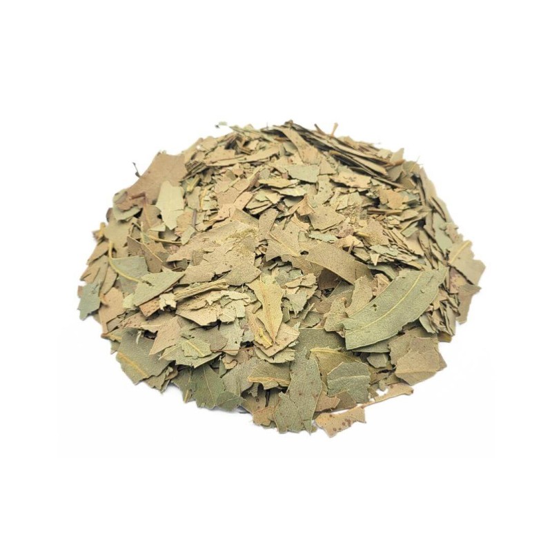 Té de Eucalipto hojas