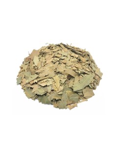 Tè di Eucalipto foglie