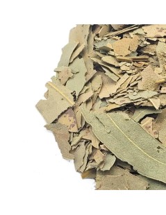 Tè di Eucalipto foglie