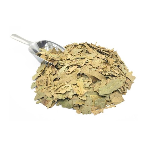 Tè di Eucalipto foglie