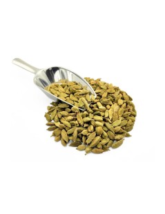 Cardamomo Verde semi