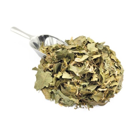 Té de Espinheira Santa
