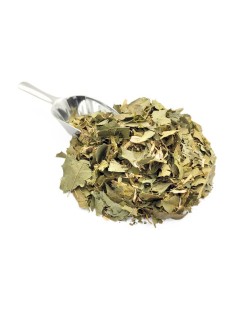 Té de Espinheira Santa