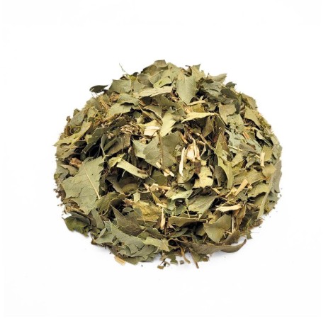 Té de Espinheira Santa