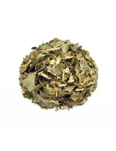 Tè di Espinheira Santa