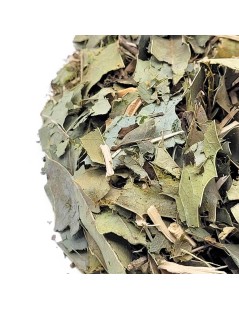 Té de Espinheira Santa