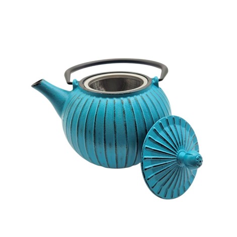 Tetera de Hierro Turquesa Mizuki – 800ml