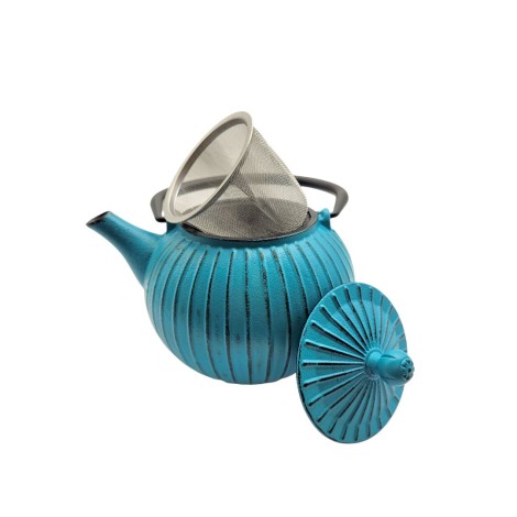 Tetera de Hierro Turquesa Mizuki – 800ml