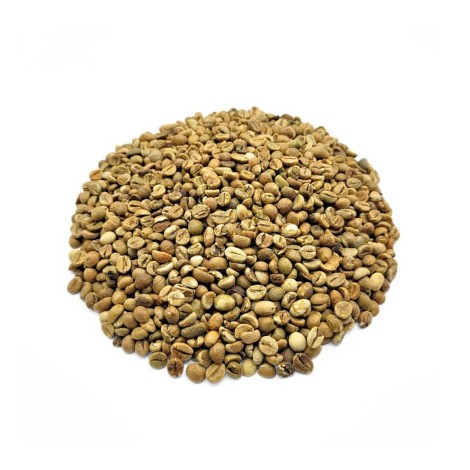 Caffè Verde Robusta, Chicchi (Coffea)