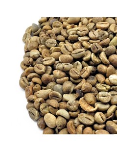 Café Verde Robusta, Granos (Coffea)