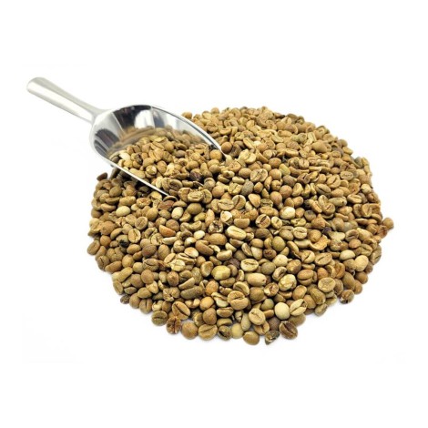 Green Coffee Beans Robusta (Coffea)
