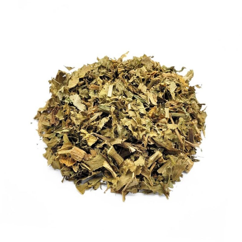 Leather Hat "Chapéu-de-Couro" (Echinodorus macrophyllus)