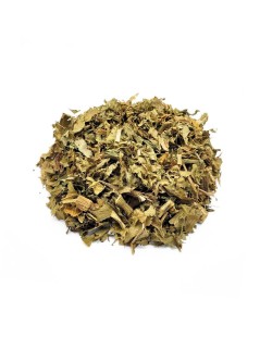 Chapéu-de-Couro, Hojas (Echinodorus macrophyllus)