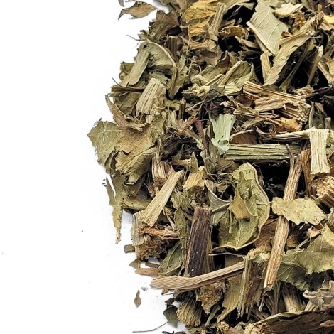 Chapéu-de-Couro, Hojas (Echinodorus macrophyllus)