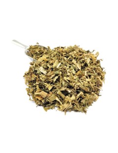 Chapéu-de-Couro, Hojas (Echinodorus macrophyllus)