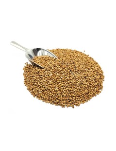 Coriander, Seeds (Coriandrum sativum L.)