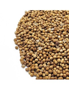 Coriander, Seeds (Coriandrum sativum L.)