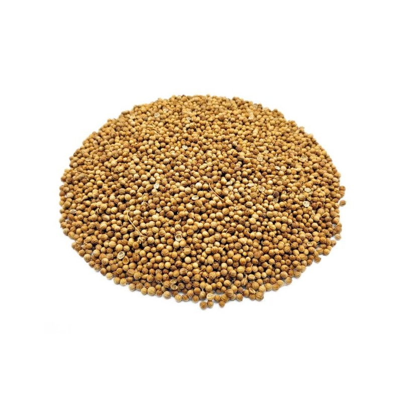 Semi di Coriandolo (Coriandrum sativum L.)