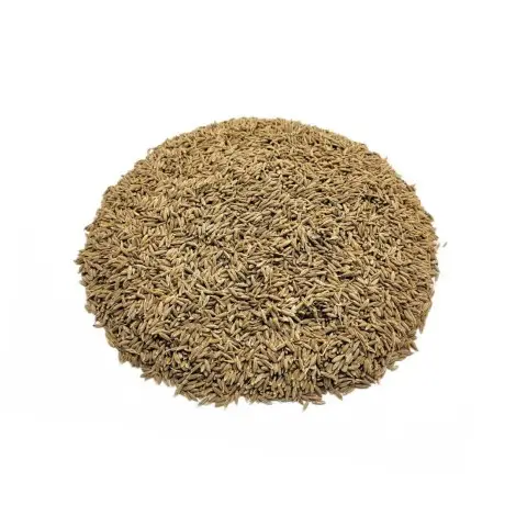 Cominhos, Sementes (Cuminum cyminum)