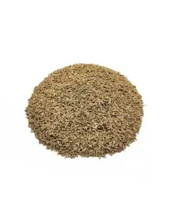 Cominhos, Sementes (Cuminum cyminum)