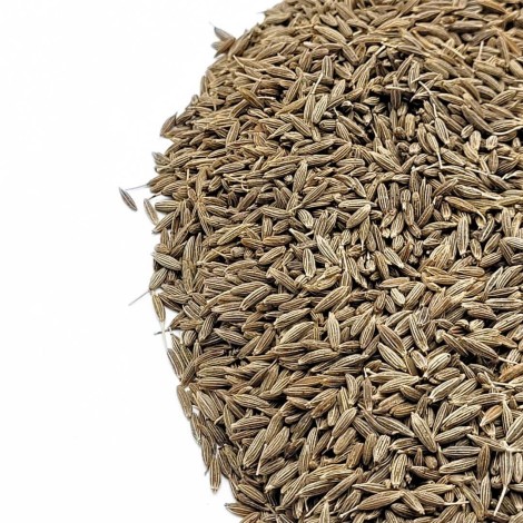 Comino Semillas (Cuminum cyminum)