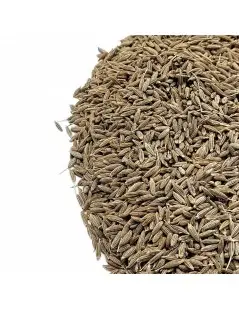 Cominhos, Sementes (Cuminum cyminum)
