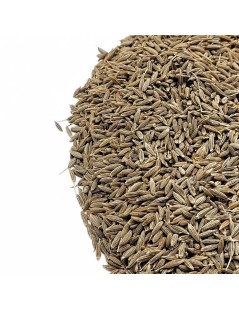 Cumin seeds (Cuminum cyminum)