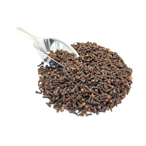 Clavo de Olor (Syzygium aromaticum)