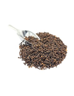 Chiodi di Garofano (Syzygium aromaticum)