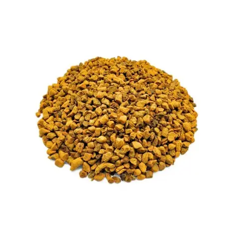 Curcuma radice a pezzi (Curcuma longa)