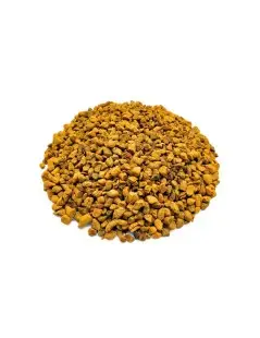 Curcuma radice a pezzi (Curcuma longa)