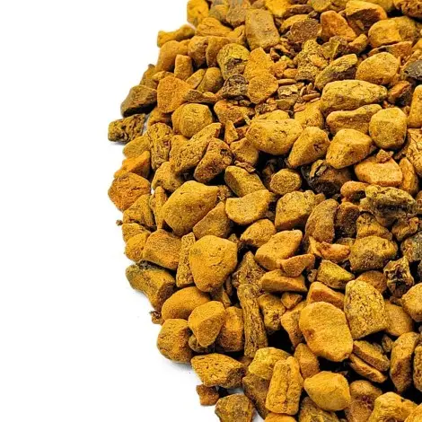 Turmeric root pieces (Curcuma longa)