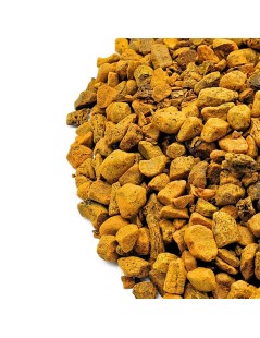 Curcuma raiz em pedaços (Curcuma longa)