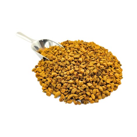 Curcuma raiz em pedaços (Curcuma longa)