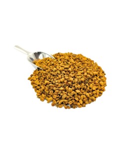 Curcuma raiz em pedaços (Curcuma longa)